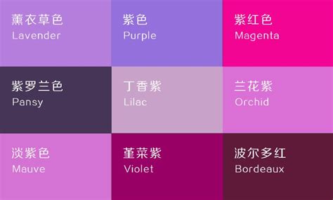 紫色要配什麼顏色 vic的意思